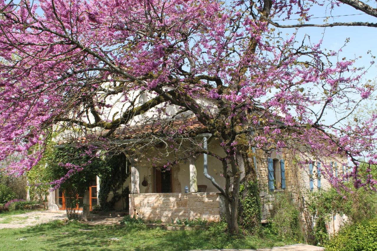 Le Refuge Aux Etoiles Villa Saint-Antonin-Noble-Val Exterior photo